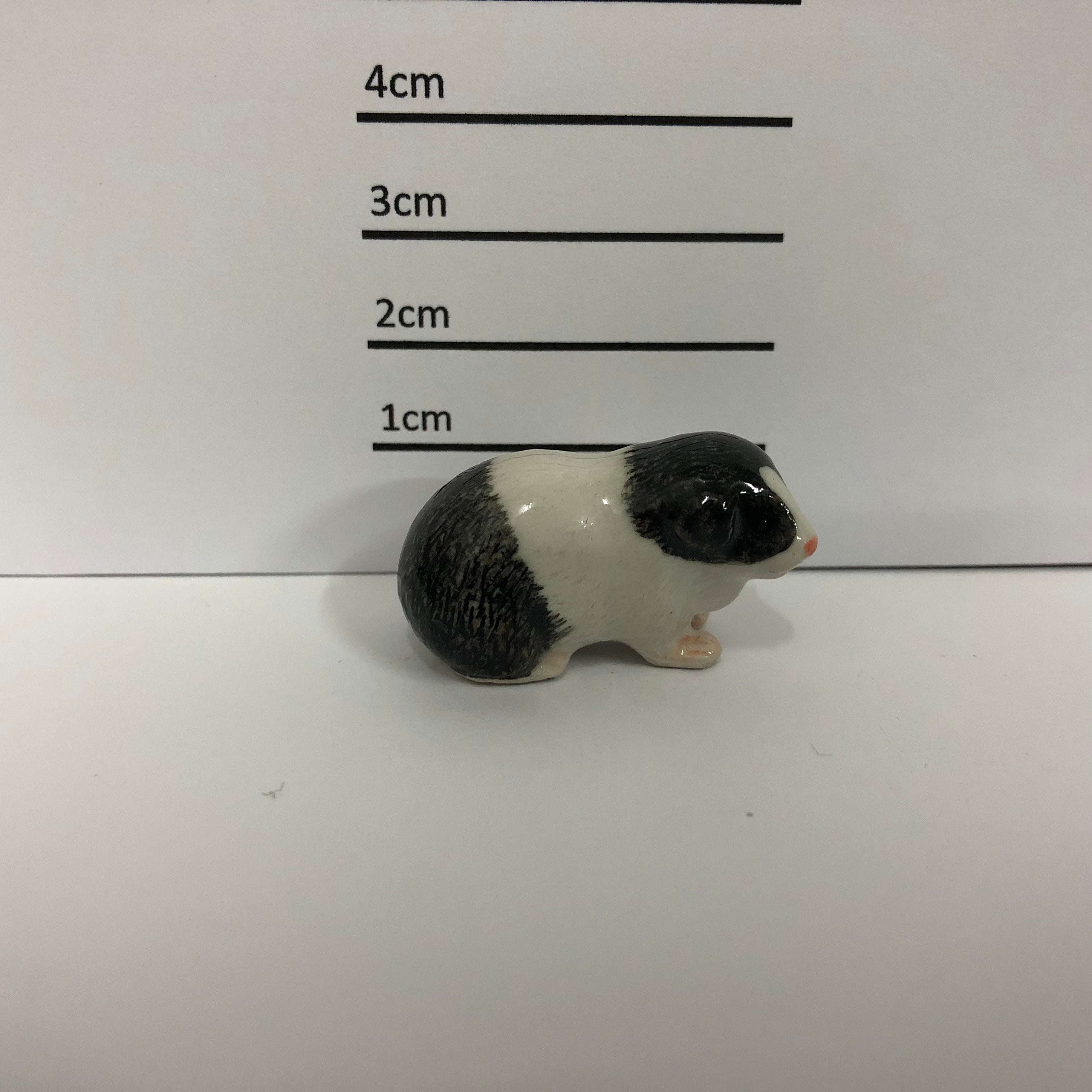 Guinea Pig
