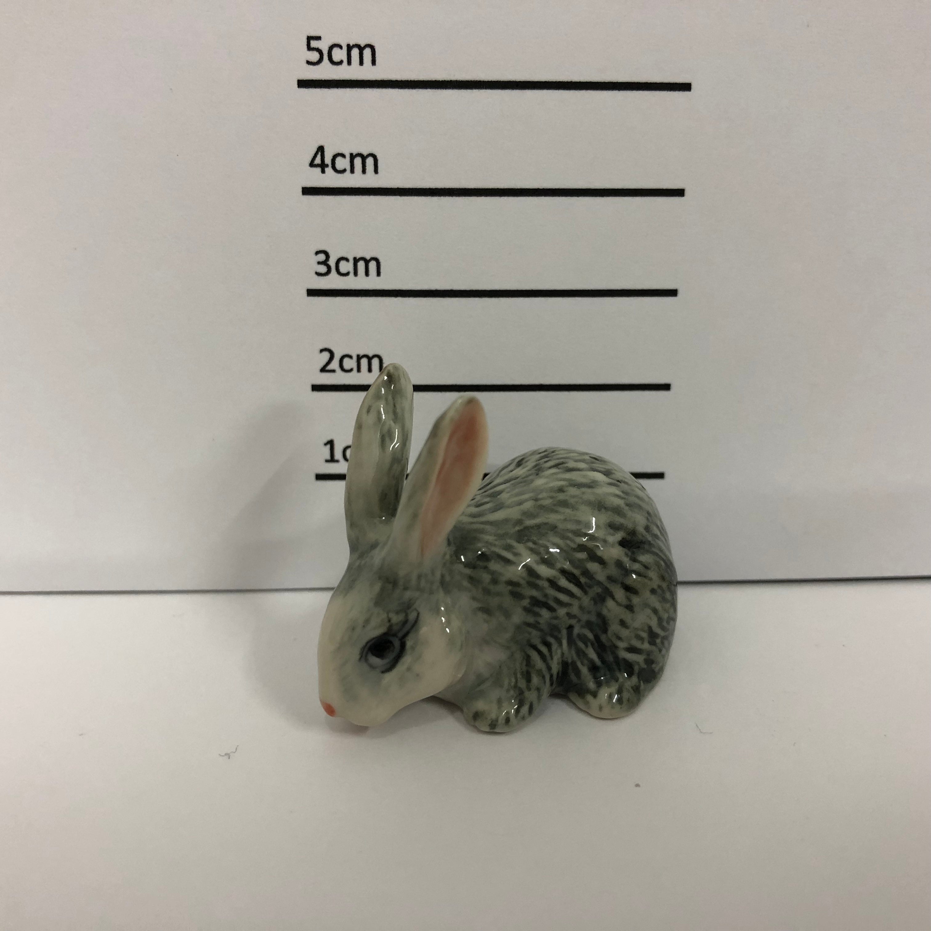 Rabbit