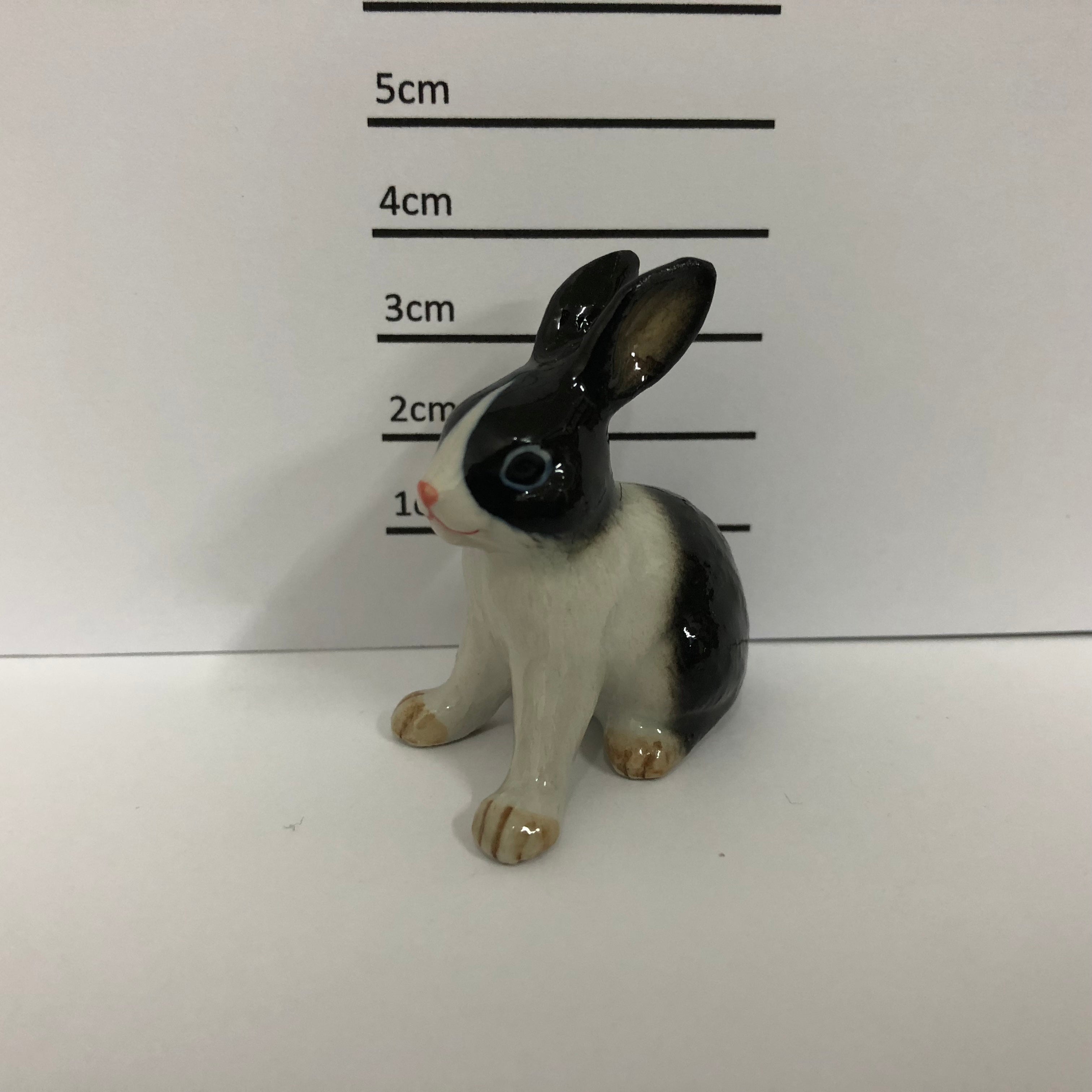 Rabbit