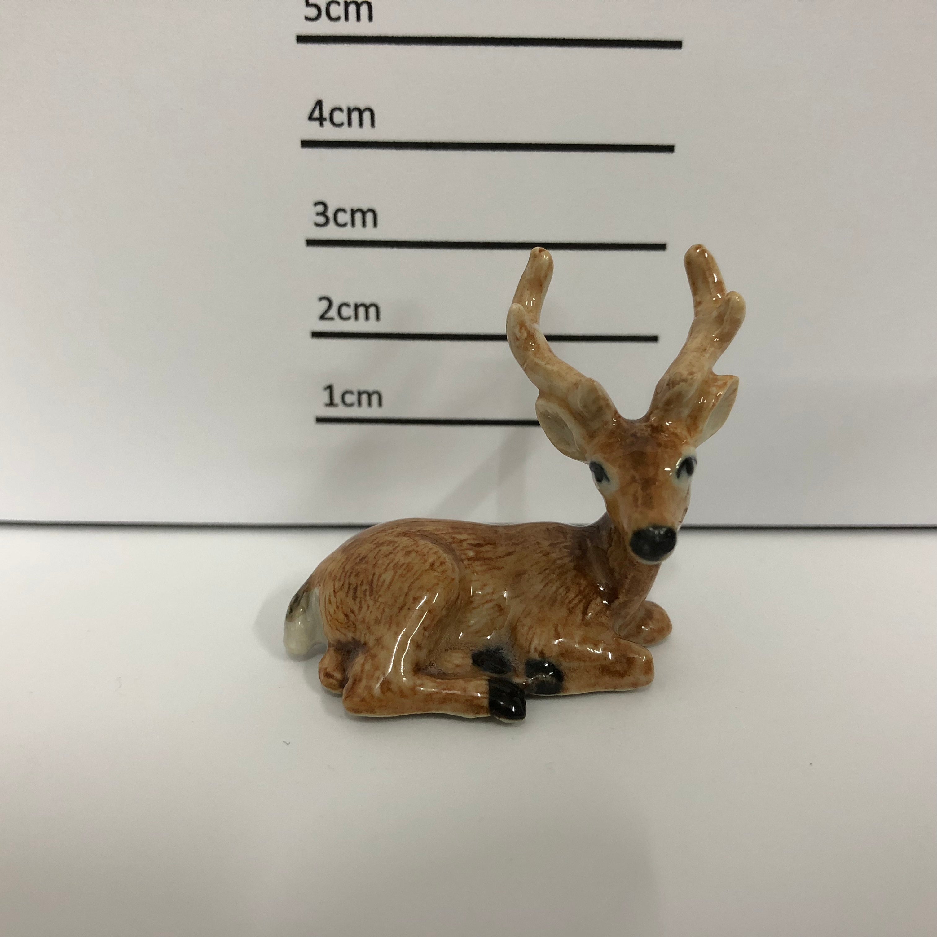 Deer