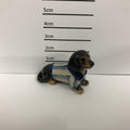 Dachshund With Jacket