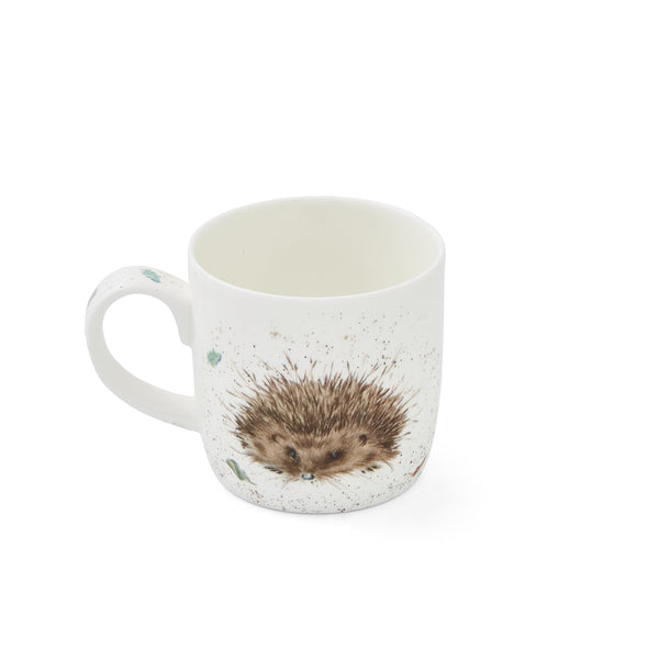 Royal Worcester Wrendale Designs Hedgehog Mug